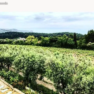 Dans Les Vignes De Appartement
